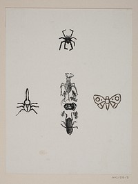 Leaf with butterfly, tick, skarn bass and other insects by P. C. Skovgaard