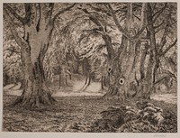 The interior of a forest by Vilhelm Kyhn