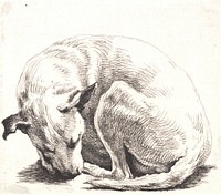 Sample plate: A dog by Frans Schwartz