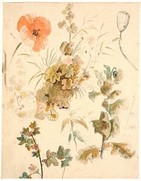 Studies of different flowers, i.a.poppies by Dankvart Dreyer