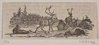 Sleigh ride with reindeer  by Hans Christian Henneberg