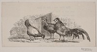 Three chickens  by Hans Christian Henneberg