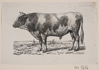A bull by Hans Christian Henneberg