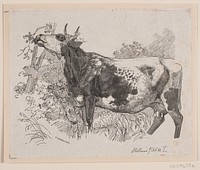 A cow stripping the branches of a tree  by Frederik Hendriksen