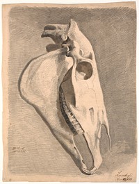 Horse skull by Johan Thomas Lundbye