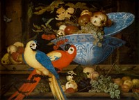 Fruit Still Life with Two Parrots by Balthasar Van Der Ast