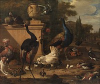 The hen house at a manor's seat by Melchior D Hondecoeter