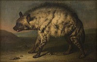 The hyena in the menagerie at Frederiksberg Castle by Jens Juel