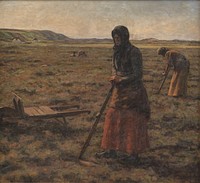 Women chop heather by Jens Vige
