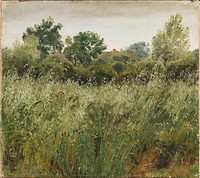 Field of Oats near Vejby by P. C. Skovgaard