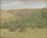 Svanninge Hills, Funen by Karl Schou