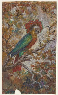 Parrot by William N Buckner