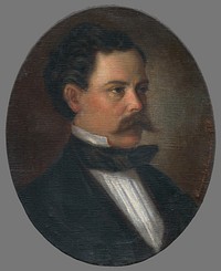 Portrait of mr. jozef szirányi