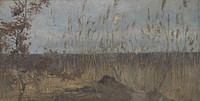 Study of a marsh landscape by Ladislav Mednyánszky