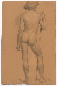 Study of a standing male nude from behind