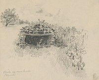 Hut in the vineyard