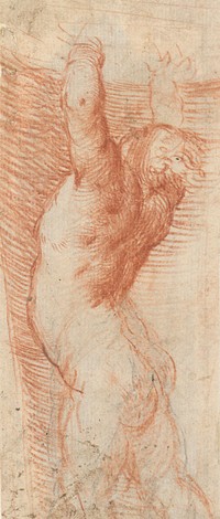 Study of nude from the back