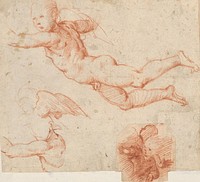 Anatomical study of floating boyish nude