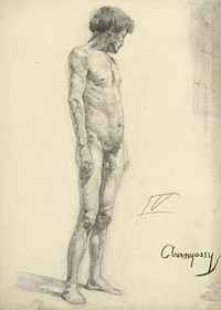Study of the nude of a man standing