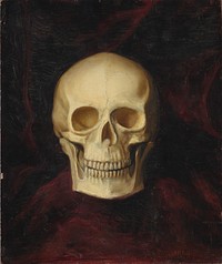 Skull; verso: head of a hunting dog holding a bird in its mouth by Alexander Pope Jr. 
