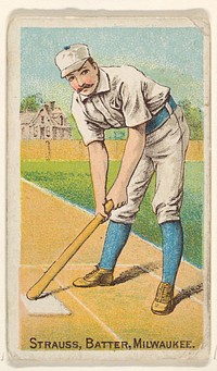 Strauss, Batter, Milwaukee baseball card (1887) from the Gold Coin series (N284) for Gold Coin Chewing Tobacco by D. Buchner & Co., New York.
