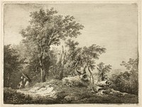 The Fallen Tree Trunk by Martin von Molitor