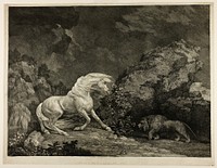 A Horse Affrighted by a Lion by George Stubbs