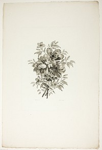 Bouquet with Poppies, from Collection of Different Bouquets of Flowers, Invented and Drawn by Jean Pillement and Engraved by P. C. Canot by Christopher Norton (Engraver)