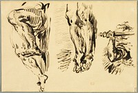 Study of Arms and Legs of Christ Crucified by Eugène Delacroix