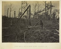 The "Hell Hole," New Hope Church, GA by George N. Barnard