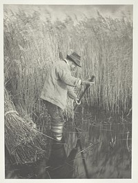 A Reed-Cutter at Work by Peter Henry Emerson