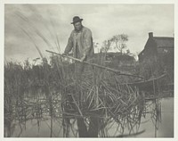 Cutting the Gladdon by Peter Henry Emerson