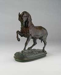 Cheval Turk by Antoine Louis Barye