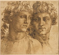 Two Studies of the Head of a Youth by Baccio Bandinelli