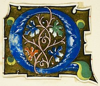 Decorated Initial "Q" in Blue with Four Oak Leaves from a Manuscript