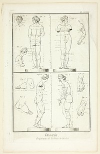 Design: Proportions of the Medici Venus, from Encyclopédie by Benoît-Louis Prévost