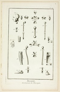 Design: Mannequin Parts, from Encyclopédie by A. J. Defehrt