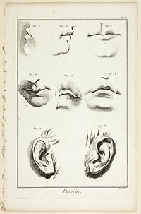 Design: Facial Anatomy from Encyclopédie by A. J. Defehrt