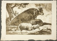 A Bull and Two Sheep by Pierre Lelu