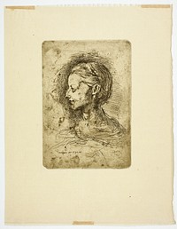 Female Head by Jean Baptiste Carpeaux