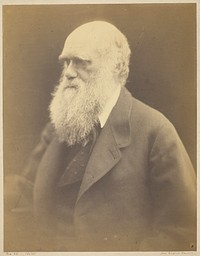 Charles Darwin by Julia Margaret Cameron