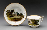 Cup and Saucer by Wedgwood Manufactory (Manufacturer)