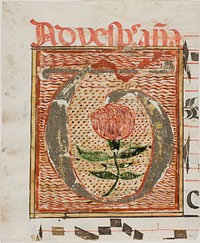 Decorated Initial "T" with Flower from a Manuscript