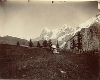 Landscape, Switzerland by Adolphe Braun