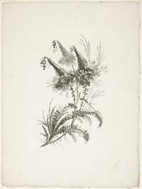Bouquet, from Collection of New Flowers of Taste for the Manufacture of Persian Cloth, Invented and Drawn by Jean Pillement by Johann Heinrich Hess (Engraver)