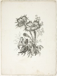 Bouquet, from Collection of New Flowers of Taste for the Manufacture of Persian Cloth, Invented and Drawn by Jean Pillement by Johann Heinrich Hess (Engraver)