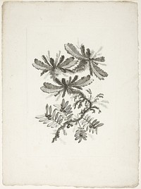 Bouquet, from Collection of New Flowers of Taste for the Manufacture of Persian Cloth, Invented and Drawn by Jean Pillement by Johann Heinrich Hess (Engraver)