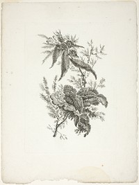 Bouquet, from Collection of New Flowers of Taste for the Manufacture of Persian Cloth, Invented and Drawn by Jean Pillement by Johann Heinrich Hess (Engraver)