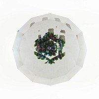 Paperweight by Compagnie de Saint Louis