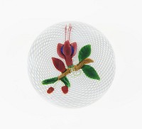 Paperweight by Compagnie de Saint Louis